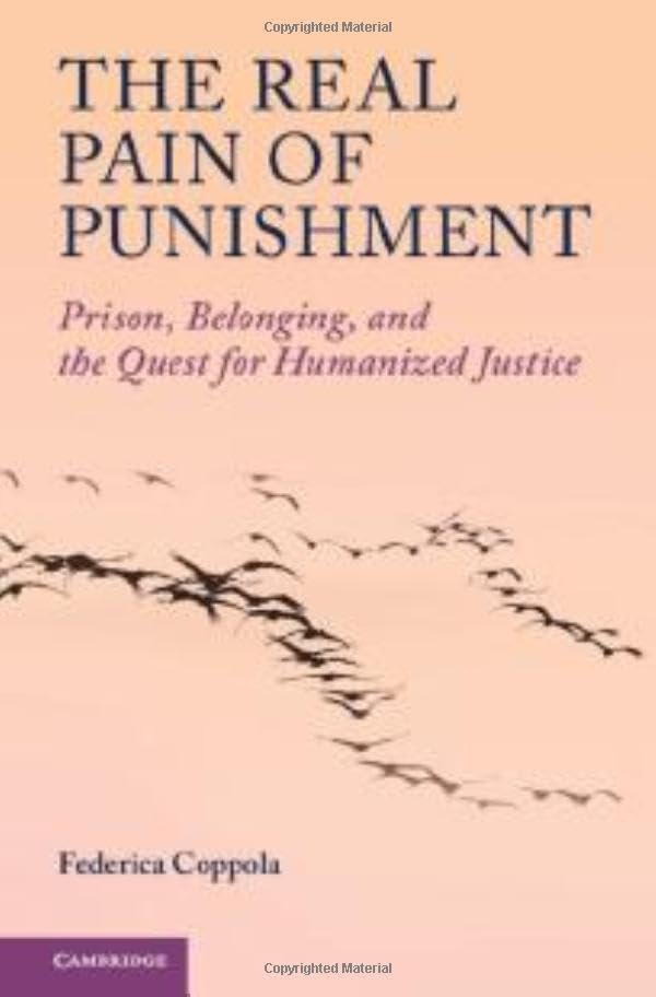 The Real Pain of Punishment: Prison, Belonging, and the Quest for Humanized Justice book cover